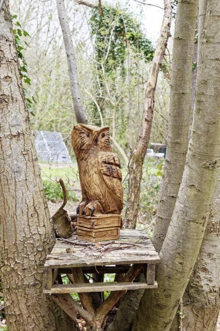 Glamping Hobbity Bell Hobbity Log Burner - Hobbity Canterbury