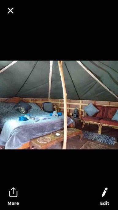 Luxury tent Hobbity Bell Hobbity Log Burner - Hobbity *